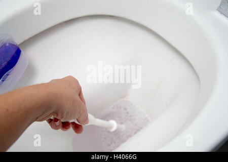 Eine Frau reinigt ein Bad-WC mit einer Scheuerbürste Stockfoto