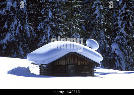 Rand, Wald, Holzhütte, Schnee, Winter Hütte, Scheune, Stall, aus der Ferne zu beenden, Holz, Schnee, Saison, Neuschnee Stockfoto