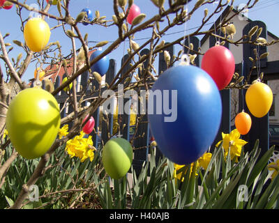 Garten, Strauch, Magnolie, Ostereier, Blumenbeet, Narzissen Pflanze, Magnolie, Blumen, Narzissen, Blüte, Frühjahr, Frühling, Ostern, Ostern, Oster-Deko, Dekoration, Gartendekoration, Detail Stockfoto