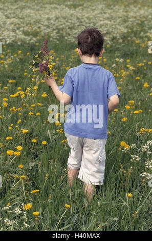 Wiese, Kind, junge, Blumen Pick, Rückansicht Blumenwiese, Frühlingswiese, Frühlingsblumen, Blumenstrauß, Aktivität, Überraschung, Frühling Stockfoto