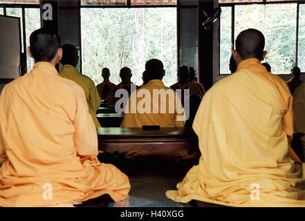 Vietnam, Gee, Tempel, Betsaal, Mönche, Hingabe Asien, Süd-Ost-Asien, Công Hòa X Æ Hôi Chu Nghia Viêt Nam Huê, Gebetsraum, Bestellung Gemeinschaft, Bestellung, Männer, Gläubige, buddhistische, Stunde Gebet, Meditation, sitzen, beten, gemeinsam zurück, Ansicht, Gebet, glauben, Religion, Buddhismus, innen Stockfoto