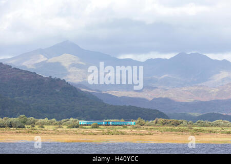 Ein Zug überquert die Glaslyn Sümpfe SSSI, Porthmadog und Snowdonia in der Ferne Snowdonia National Park, North Wales, UK Stockfoto