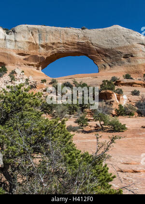 Wilson Arch in der Nähe von Moab, Utah Stockfoto