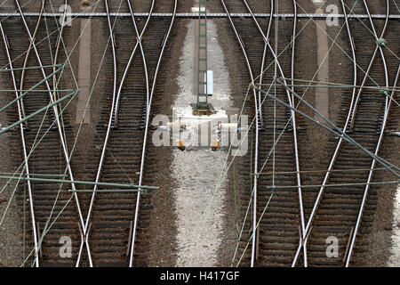 Bahnhof, Gleis, Detail, Switches, Rangierbahnhof, Wechsel Spuren, Spuren, Eisenbahn, Schienen, Gleise, Bahntransporte, Verkehr, Transport, Förderung, Eisenbahn, Bahn-Verkehr, Schienenverkehr, Logistik, Wirtschaft, Bahn Gerät, Bahntechnik, Richtung Update, Logistik, Deutschland, in der Nähe Hamburg, Netze Stockfoto