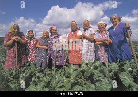 Tschechien, Moravia, Mangold Feld, Landwirte, Gruppenbild, Person, einheimischen, Senioren, Frauen, Gruppe, alt, Senioren, Kopftuch, lachen, arbeiten freundlich, fröhlich, Zufriedenheit, mühsam, zusammen, Landwirtschaft, Bereich Wirtschaft, Arbeit, Kittel Schürze, Feld Stockfoto