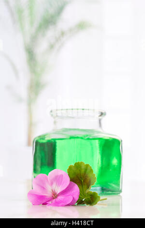 Wesentlichen Geraniumöl in Flasche und Blumen Stockfoto