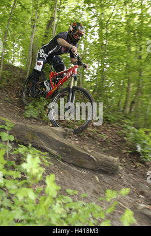 Holz, Neigung, Mountain Bike Fahrer, Downhill, Vorschau Waldweg, Freizeit, Sport, Radfahren, Hobby, Reiten von einem Fahrrad, Mountainbike, Freizeitbeschäftigung, Mann, Radfahrer, Sportler, Rennradfahrer, Mountainbiker, Downhillfahrer, Schutzkleidung, s Stockfoto