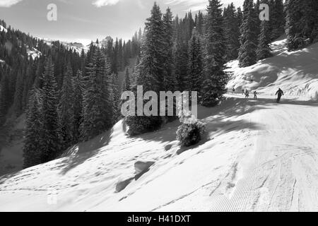 Berglandschaft, Holz, Skigebiet, Ski Piste, Skifahrer, s/w, Start-und Landebahn, Abfahrt, Alpinsport, Sport, Hobby, Freizeit, Ski, Skifahren, Aktivität, Winterurlaub, Skiurlaub, Wintertourismus, Tourismus, Winter Stockfoto