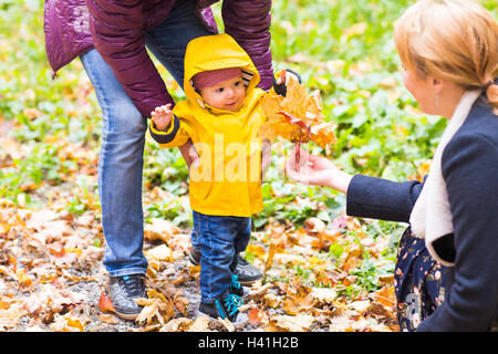 Vater, Mutter und Sohn zu Fuß. Baby, die ersten Schritte mit Hilfe des Vaters im Herbst Garten in der Stadt Stockfoto