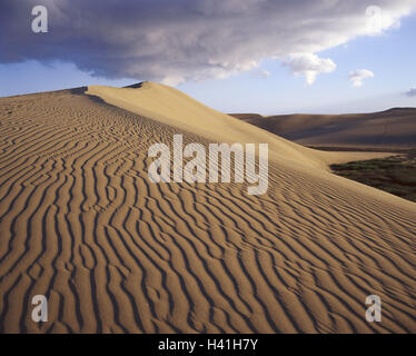 Spanien, Insel Korn Canaria, Maspalomas Dünen Landschaft, Europa, Iberische Halbinsel, Kanarischen Inseln, den Kanaren, Wüste, Sand Dünen, Dünen, Sand, Rippelmarken, Struktur, Muster, Natur, Hintergrund, Trockenheit, Trockenheit, Wasserknappheit, Leben Trägerflugzeuge, aus der Ferne, Abgeschiedenheit, menschenleer, Ruhe, Stille, Einsamkeit Stockfoto