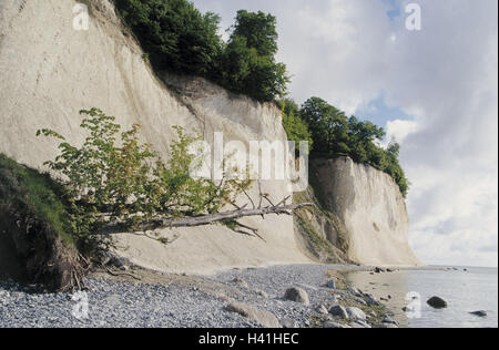 Deutschland, Mecklenburg-Vorpommern, Insel Rügen, Kreide-Küste, Wissower Griffe, Europa, Ostdeutschland, Insel, Ostküste, Ostseeinsel, Ostsee, Küste, Rock, Galle Küste, Steilküste, Kreide-Felsen, Abgrund, Tiefe, steil, beach, Kies, Stockfoto