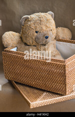 Teddybär im Weidenkorb Stockfoto