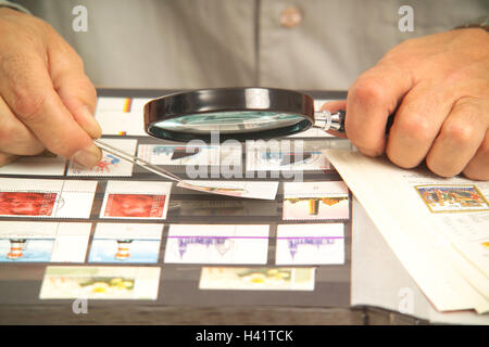 Mann, Hände, Lupe, Pinzette, Stempel, Blick, Album, gewellt, Mannes Hände, 50-60 Jahre, Freizeit, Hobby, Sammler, Sammlung, Briefmarkensammler, Briefmarkensammlung, sammeln, philatelistische Sammlung, Briefmarken, Sammler Objekte, gemeinsame Leidenschaft Phila Stockfoto