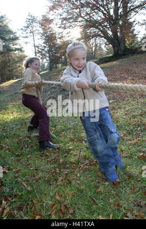 Wiese, Kinder, spielen, zerren Krieg Holz, Saison, Herbst, herbstliche, Mädchen, junge, zwei, Kindheit, 4-9 Jahre, team, Seil, Seil, ziehen zusammen, Belastung Stockfoto