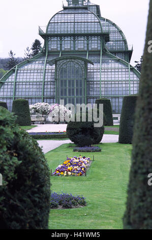 Österreich, Wien, palm, Haus, Glas, Stahl, Bau, Garten, Europa, Stadt, Hauptstadt, Weltstadt, Ort von Interesse, Architektur, Baustil, historisch, Park, Parks, Architektur, Orangerie, das Schmetterlingshaus, Jugendstil, Rundbogen, Stockfoto