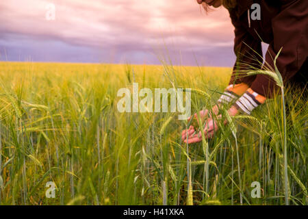 Kaukasische Frau hält Rasen im Feld