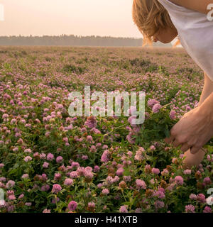 Kaukasische Frau Blumenpflücken in Feld Stockfoto