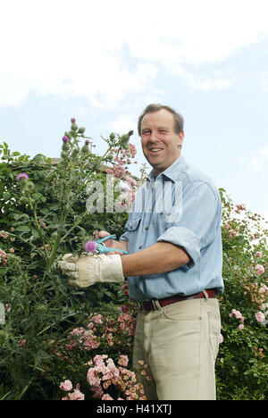 Garten, Mann, rose Hecke, Baum-, Rebscheren, Handschuh, Distel, abschneiden, mittleren Alter Mensch, 40-50 Jahre, Lächeln, Gärtner, Hobby, Hobbygärtner, Freizeit, Aktivität, Freizeitbeschäftigung, Sommer, Blumen, Hinterreifen, Rosen, Hund-Rosen, Blüte, Blüten, Freude, Garde Stockfoto