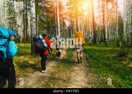 Kaukasische Freunde Wandern mit Hund auf Waldweg Stockfoto