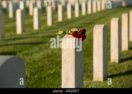 Rosen auf Friedhof Grabstein Stockfoto