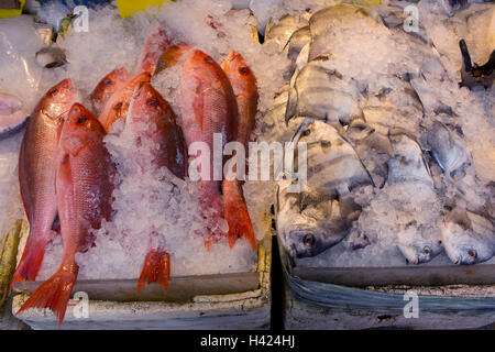 Frischfisch auf Eis in Chinatown, Manhattan, New York. Stockfoto