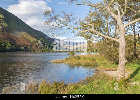 Llyn Gwynant See im Nantgwynant Tal, Snowdonia National Park, North Wales, UK Stockfoto