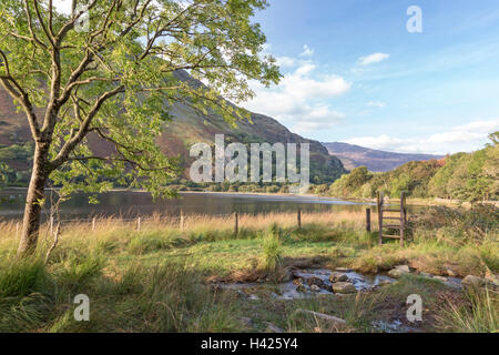 Llyn Gwynant See im Nantgwynant Tal, Snowdonia National Park, North Wales, UK Stockfoto