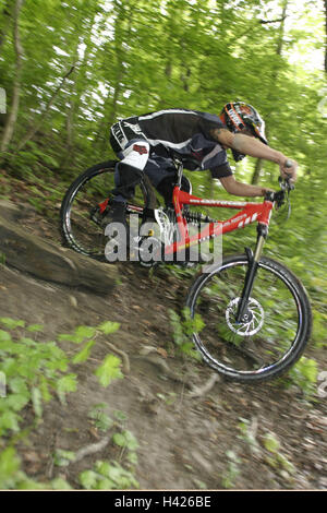 Holz, Neigung, Mountain Bike Fahrer, Downhill, Vorschau Waldweg, Freizeit, Sport, Radfahren, Hobby, Reiten von einem Fahrrad, Mountainbike, Freizeitbeschäftigung, Mann, Radfahrer, Sportler, Rennradfahrer, Mountainbiker, Downhillfahrer, Schutzkleidung, s Stockfoto