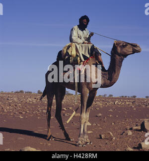 Mauretanien, Region Adrar, enge Atar, Mann, Dromedar, Ride, Wüste, Afrika, West, Afrika, Tiere, Säugetiere, nutzen Tiere, Reiten, Tiere, Bestien Belastung, Camel, Camel bluten, Person, bluten, ernst, mauretanischen, Moor, mauretanischen, Kleidung, Kopfbedeckungen, Turban, Schesch, traditionell, Sand, wilde Landschaft, Landschaft, Stockfoto