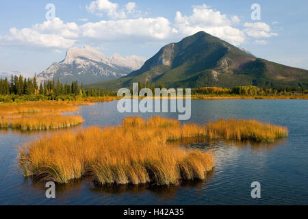 Kanada, Alberta, bundesweit Banff Park, Vermillon Seen, Herbst, abends Licht, Landschaft, Berge, Bäume, Berge, Wasser, See, Wasser, Inseln, Vegetation, Holz, Herbst Färbung, herbstliche, grass, niemand, Natur, Idylle, Stockfoto