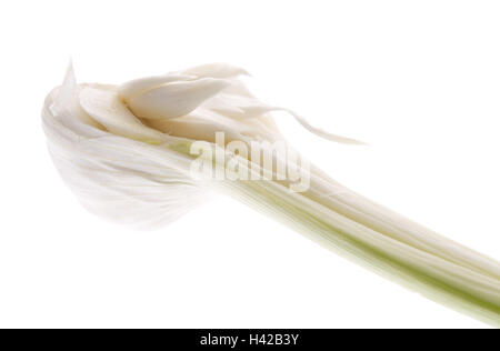 Knoblauch Knötchen, Hälften, Stockfoto