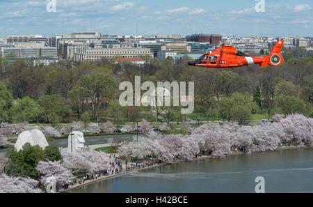 U.S. Coast Guard Hubschrauberbesatzungen fliegen über Martin Luther King, Jr. National Memorial Statue aus "Stein der Hoffnung" und Kirschblüte Bäume entlang der National Mall während der Einarbeitung training 28. März 2016 im West Potomac Park, Washington, DC. Stockfoto