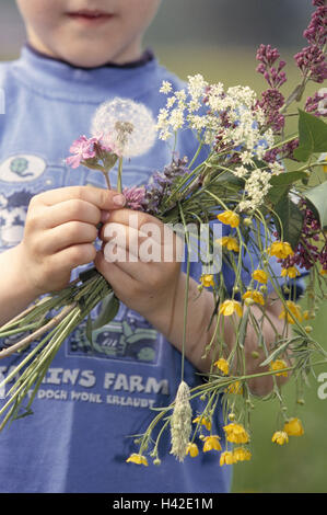 Wiese, Kind, junge, Blumen Pick, Detail, Blumenwiese, Frühlingswiese, Frühlingsblumen, Blumenstrauß, Aktivitäten, Freizeit, Frühling Stockfoto