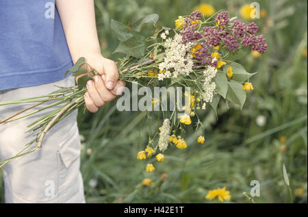 Wiese, Kind, junge, Blumen Pick, Detail, Blumenwiese, Frühlingswiese, Frühlingsblumen, Blumenstrauß, Aktivitäten, Freizeit, Frühling Stockfoto