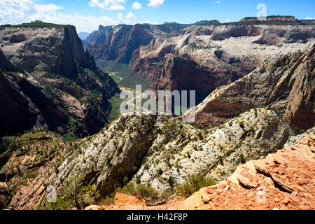 Zion-Nationalpark liegt im Südwesten der Vereinigten Staaten, in der Nähe von Springdale, Utah. Stockfoto