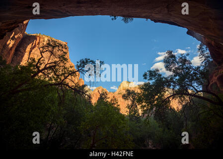 Felsformationen, Zion National Park, befindet sich im Südwesten der Vereinigten Staaten, in der Nähe von Springdale, Utah. Stockfoto