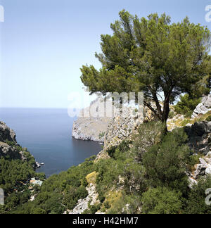 Spanien, Mallorca, Bucht Cala D'or, Europa, Südwesteuropa, Balearen, Balearen-Insel, Islas Baleares, Mittelmeerinsel, Reiseziel, Reiseziel, Küste, Küstenlandschaft, Felsen, felsig, Galle Landschaft, Landschaft, Natur, Golde Stockfoto