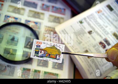 Mann, Hände, Lupe, Pinzette, Stempel, Blick, Album, gewellt, Mannes Hände, 50-60 Jahre, Freizeit, Hobby, Sammler, Sammlung, Briefmarkensammler, Briefmarkensammlung, sammeln, philatelistische Sammlung, Briefmarken, Sammler Objekte, gemeinsame Leidenschaft Phila Stockfoto