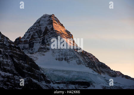 Alberta, Gipfel von Mount Assiniboine Provincial Park, Mount Assiniboine, Abend, Landschaft, Landschaft, Berg, Berge, Berggipfel, Rock, auffallend, Schnee, Schnee, Schnee, Alpenglühen, Abendlicht, Abendsonne, Abendstimmung, niemand, Natur, Stockfoto