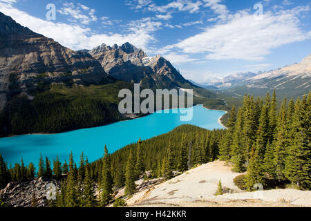 Kanada, Alberta, bundesweit Banff Park, Peyto Lake, Übersicht, Herbst, Landschaft, Berge, Berglandschaft, Bergpanorama, Berge, Tal, Gebirge, Suche, Ansicht, Ansicht, Türkis, Hill, Herbst Färbung, herbstliche, Bergwälder, Nadelwald, Gewässer, Wald, See, Wasser, Idylle, Natur, Breite, Abstand, niemand, bewölkter Himmel, Stockfoto