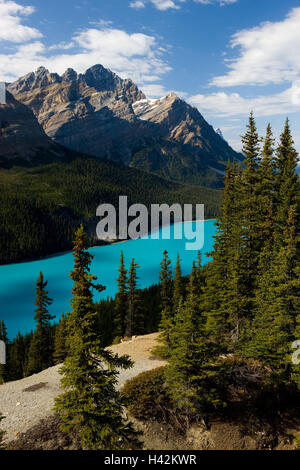 Kanada, Alberta, bundesweit Banff Park, Peyto Lake, Übersicht, Herbst, Landschaft, Berge, Berglandschaft, Bergpanorama, Berge, Tal, Gebirge, Suche, Ansicht, Ansicht, Türkis, Hill, Herbst Färbung, herbstliche, Bergwälder, Nadelwald, Gewässer, Wald, See, Wasser, Idylle, Natur, Breite, Abstand, niemand, bewölkter Himmel, Stockfoto