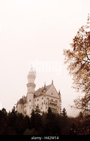 Deutschland, Bayern, Schwangau, Schloss Neuschwanstein, neblige Stimmung, Herbst, s/w, Stockfoto