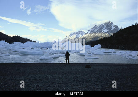 Chile, Patagonien, Parque Nacional Torres, del Paine, Lago Grey, Glaciar Grey, Co., Paine Grande, Tourist, Südamerika, Ziel, Ort von Interesse, Landschaft, Berge, Berge, Gletscher, Eis, Schnee, Himmel, Wolken, Eisberge, Natur, Stockfoto