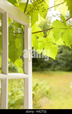 Fenster, offener, Garten, Stockfoto