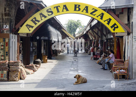 Türkei, Istanbul, Teil Stadt Sultanahmet, Arasta Bazaar, Eingang, Stadt, Stadt, Metropole, Hafen, Handel, Vertrieb, Handwerk, Andenken, Fußgängerzone, Geschäfte, Geschäfte, Tourismus, Markt, Souvenirläden, Basar, Zugang, Zeichen, Händler, Verkäufer, Person, Hund, warten, im Außenbereich, Stockfoto
