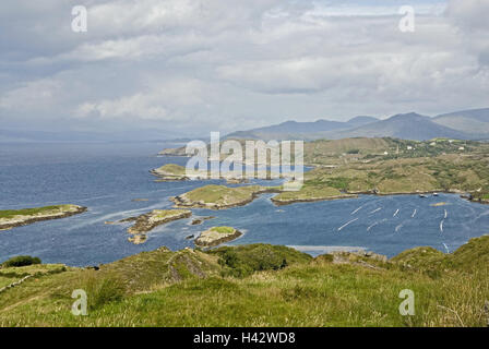 Irland, Munster, Beara Halbinsel, Küstenlandschaft, Meeresbucht, Berge, Wasser, Landschaft, Küste, Ansicht, Himmel, Cloudies, Meer, Bucht, Breite, Abstand, Stockfoto