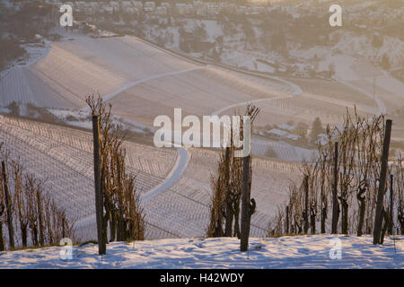 Weinberge, Winter, Red Mountain, Stuttgart, Baden-Württemberg, Deutschland Stockfoto