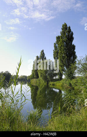 Deutschland, Bayern, Unterfranken, Feld Grafenrhein, Altmain, Stockfoto