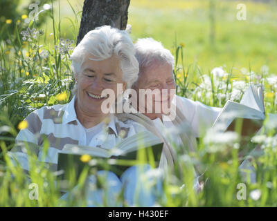 Lesen Sie Garten, Wiese, Baum, älteres Paar, halbe Porträt, Sommerpark, Urlaub, Sommerurlaub, Ruhestand, Rente, Freizeit, Hobby, Freizeitbeschäftigung, Zeitvertreib, Erholung, Ruhe, genießen Sie, sitzen Sie, lehnen Sie zusammen, Side-by-Side, Aneinanderlehnen, Kofferraum, am besten Stockfoto