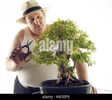 erde fr geigenfeige Ficus Lyrata kaufen